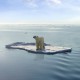 EcoLicious | Climate Change needs YOU 